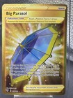 Big Parasol