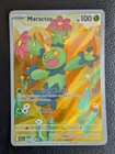 Maractus