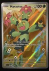 Maractus