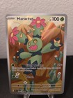 Maractus