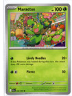Maractus