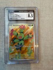 Maractus