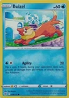 Buizel