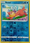 Buizel
