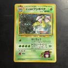 Erika's Venusaur