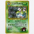 Erika's Venusaur