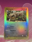 Zigzagoon