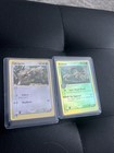 Zigzagoon