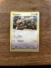 Zigzagoon
