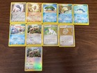 Zigzagoon