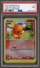 Torchic