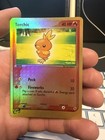Torchic