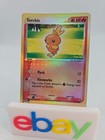 Torchic