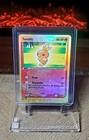 Torchic