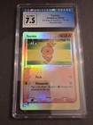 Torchic