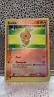 Torchic
