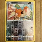 Spearow
