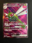 Yanmega ex