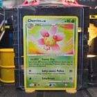 Cherrim