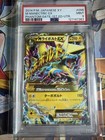 Manectric Spirit Link