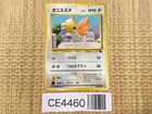 Spearow
