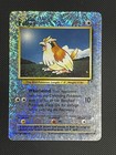 Pidgey