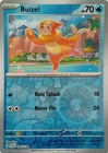 Buizel