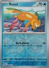 Buizel