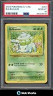 Bulbasaur and the Hidden Village