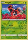 Ledyba