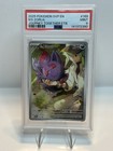 N's Zorua