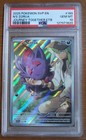 N's Zorua