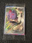 N's Zorua