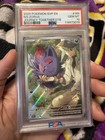 N's Zorua