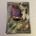 N's Zorua
