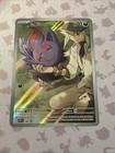 N's Zorua