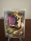 N's Zorua