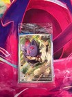 N's Zorua