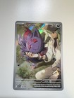 N's Zorua