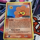 Sunny Castform