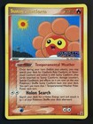 Sunny Castform
