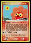 Sunny Castform