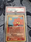 Sunny Castform