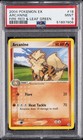 Arcanine