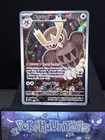 Noctowl