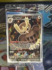Noctowl
