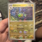 Zebstrika