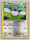 Pidove