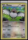 Pidove