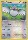 Pidove
